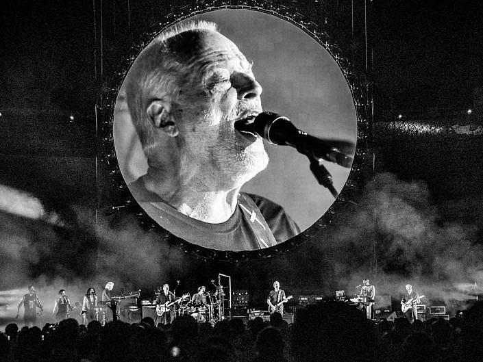 David Gilmour